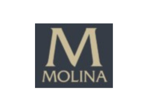 Luis Molina
