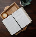New American Bible-Catholic,large print