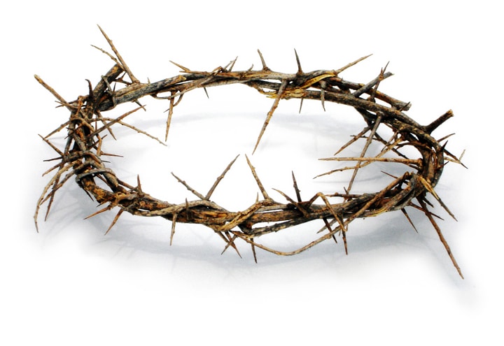 Crown of Thorns (Life Size)