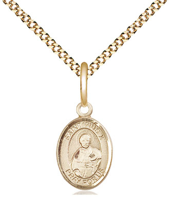 14kt Gold Filled Saint Pius X Pendant on a 18 inch Gold Plate Light Curb chain