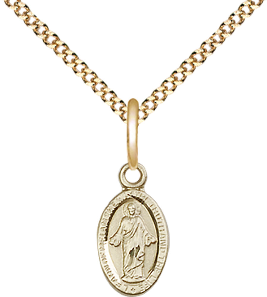 14kt Gold Filled Scapular Pendant on a 18 inch Gold Plate Light Curb chain