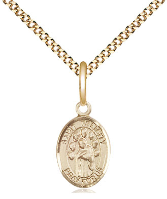 14kt Gold Filled Saint Felicity Pendant on a 18 inch Gold Plate Light Curb chain