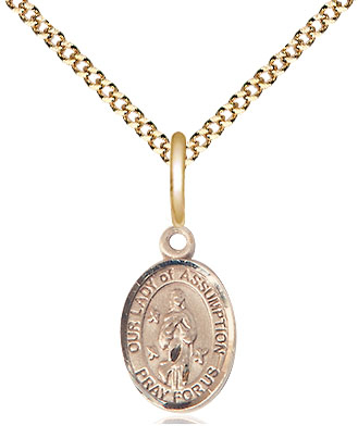 14kt Gold Filled Our Lady of Assumption Pendant on a 18 inch Gold Plate Light Curb chain