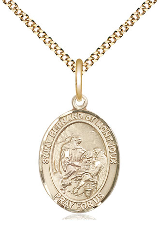 14kt Gold Filled Saint Bernard of Montjoux Pendant on a 18 inch Gold Plate Light Curb chain