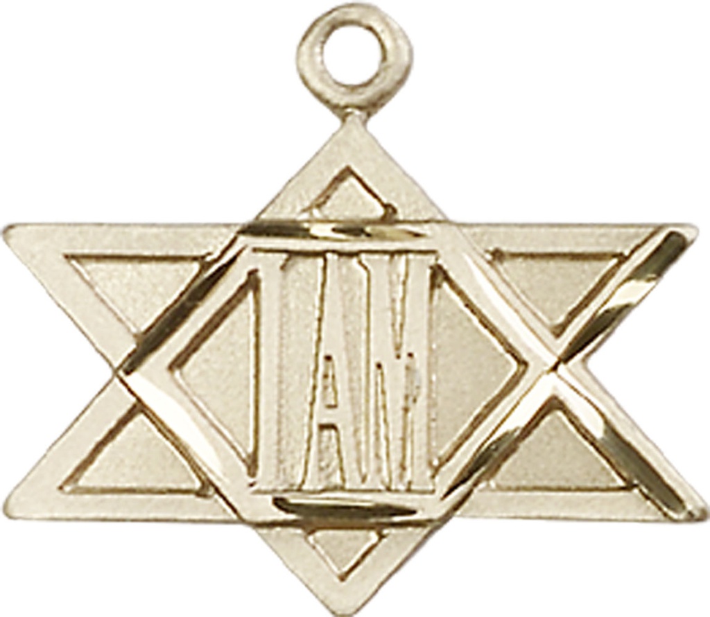 14kt Gold I Am / Star of David Medal