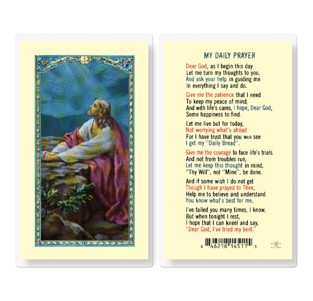 My Daily Prayer with Christ Garden Laminated Holy Card