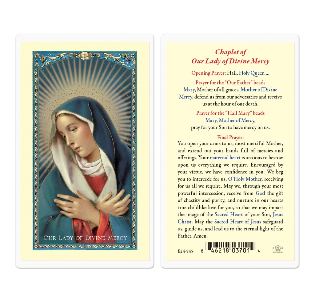 Chaplet of Our Lady of Divine Mercy Laminated Holy Card
