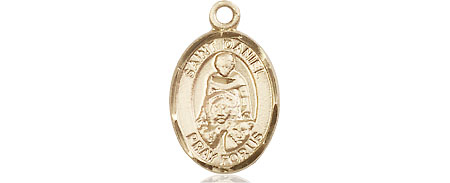 14kt Gold Filled Saint Daniel Medal