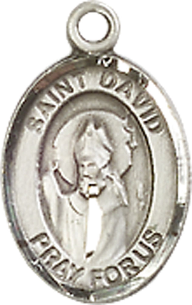 Sterling Silver Saint David of Wales Medal