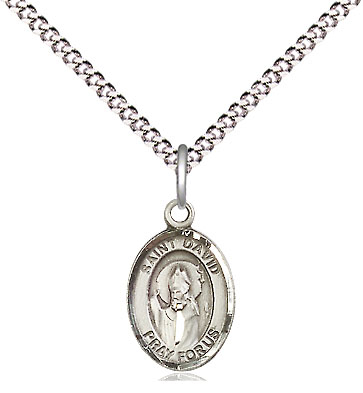 Sterling Silver Saint David of Wales Pendant on a 18 inch Light Rhodium Light Curb chain