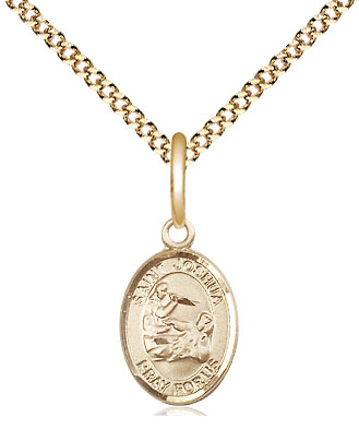 14kt Gold Filled Saint Joshua Pendant on a 18 inch Gold Plate Light Curb chain