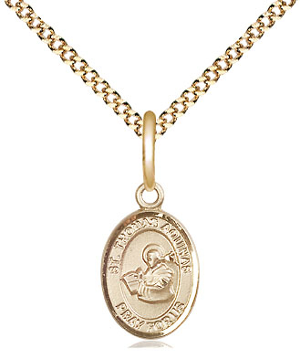 14kt Gold Filled Saint Thomas Aquinas Pendant on a 18 inch Gold Plate Light Curb chain