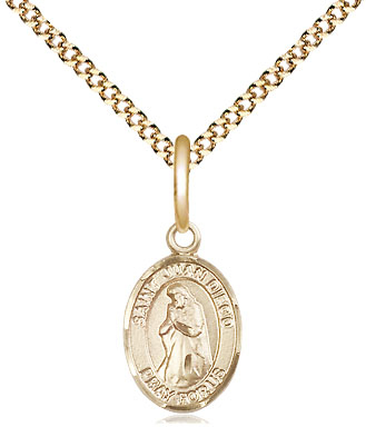 14kt Gold Filled Saint Juan Diego Pendant on a 18 inch Gold Plate Light Curb chain