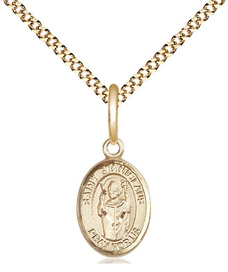 14kt Gold Filled Saint Stanislaus Pendant on a 18 inch Gold Plate Light Curb chain