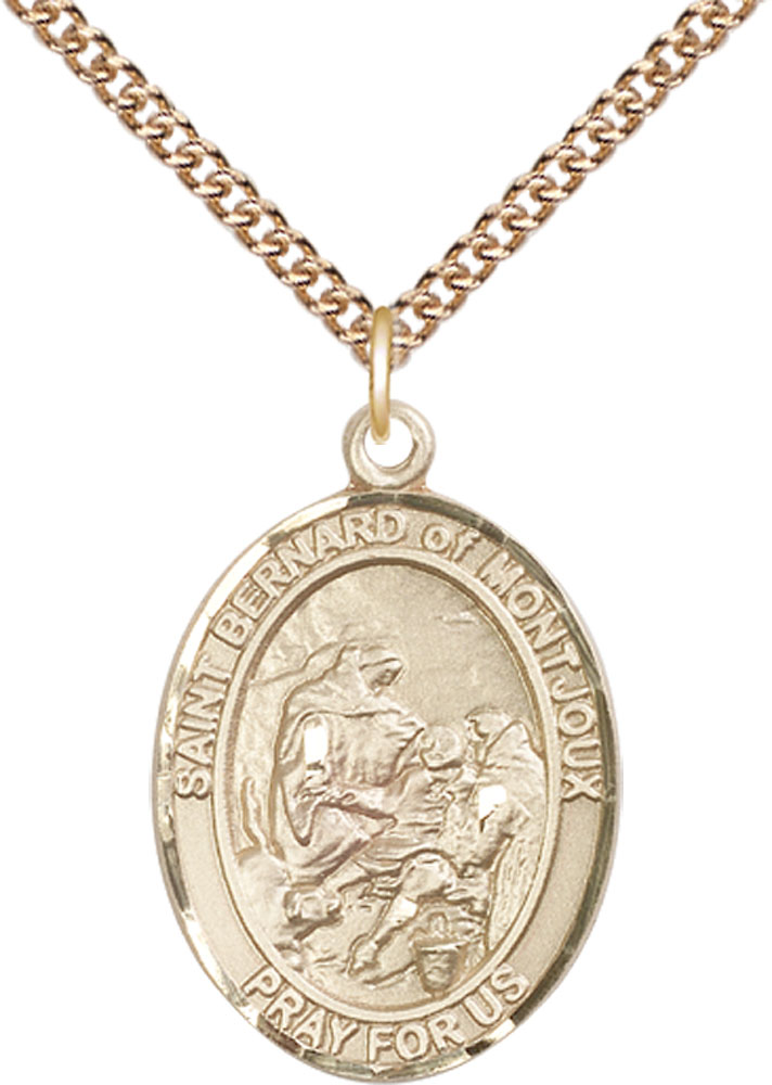 14kt Gold Filled Saint Bernard of Montjoux Pendant on a 24 inch Gold Filled Heavy Curb chain