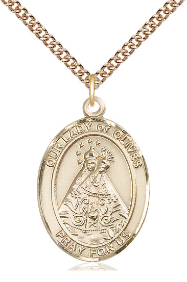 14kt Gold Filled Our Lady of Olives Pendant on a 24 inch Gold Filled Heavy Curb chain