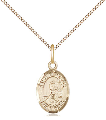 14kt Gold Filled Saint Benjamin Pendant on a 18 inch Gold Filled Light Curb chain