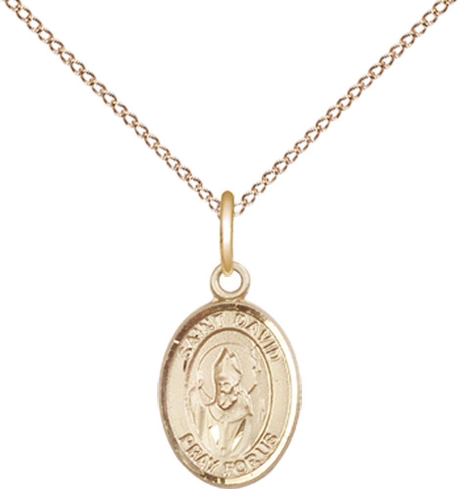 14kt Gold Filled Saint David of Wales Pendant on a 18 inch Gold Filled Light Curb chain