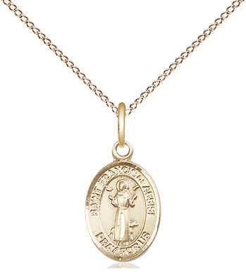 14kt Gold Filled Saint Francis of Assisi Pendant on a 18 inch Gold Filled Light Curb chain