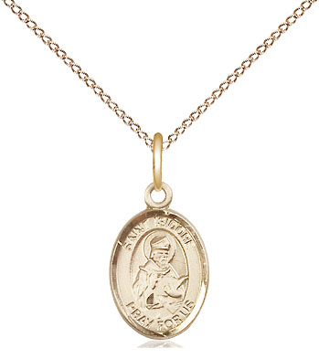 14kt Gold Filled Saint Isidore of Seville Pendant on a 18 inch Gold Filled Light Curb chain