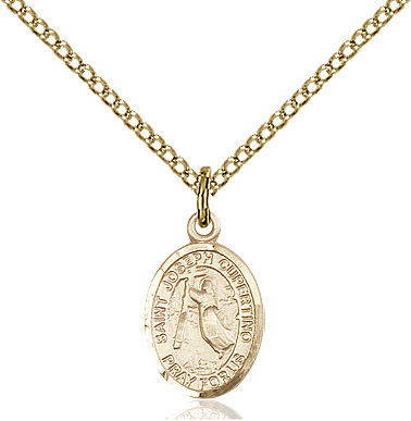 14kt Gold Filled Saint Joseph of Cupertino Pendant on a 18 inch Gold Filled Light Curb chain