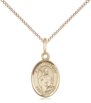 14kt Gold Filled Saint Kilian Pendant on a 18 inch Gold Filled Light Curb chain