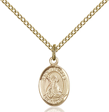 14kt Gold Filled Saint Bridget of Sweden Pendant on a 18 inch Gold Filled Light Curb chain