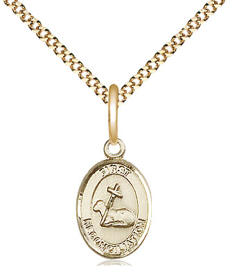 14kt Gold Filled First Reconciliation Pendant on a 18 inch Gold Plate Light Curb chain