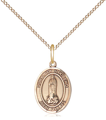 14kt Gold Filled Our Lady of Kibeho Pendant on a 18 inch Gold Filled Light Curb chain