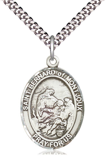 Sterling Silver Saint Bernard of Montjoux Pendant on a 24 inch Light Rhodium Heavy Curb chain