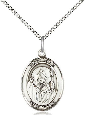 Sterling Silver Saint David of Wales Pendant on a 18 inch Sterling Silver Light Curb chain