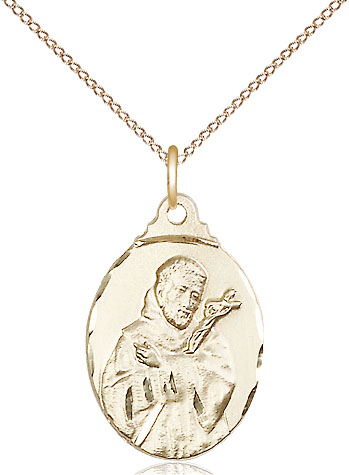 14kt Gold Filled Saint Francis Pendant on a 18 inch Gold Filled Light Curb chain