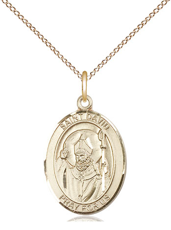 14kt Gold Filled Saint David of Wales Pendant on a 18 inch Gold Filled Light Curb chain