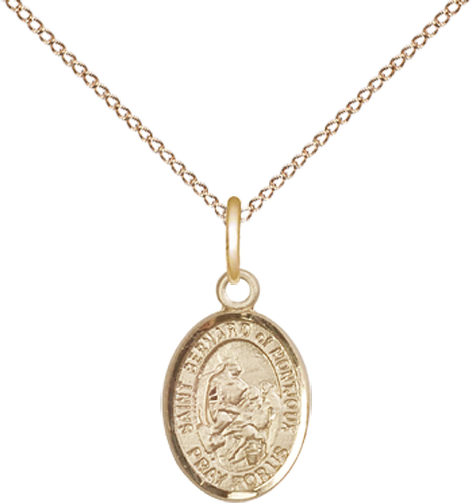 14kt Gold Filled Saint Bernard of Montjoux Pendant on a 18 inch Gold Filled Light Curb chain