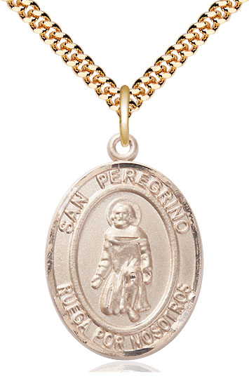14kt Gold Filled San Peregrino Pendant on a 24 inch Gold Plate Heavy Curb chain