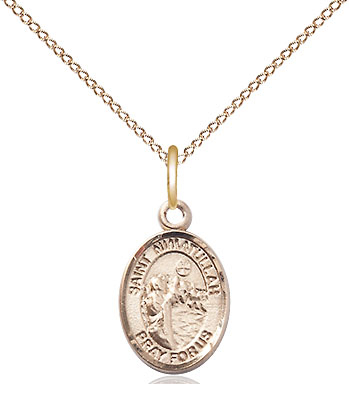 14kt Gold Filled Saint Nimatullah Pendant on a 18 inch Gold Filled Light Curb chain