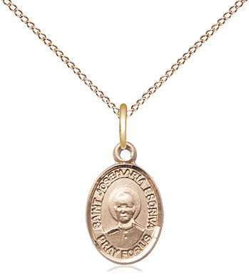 14kt Gold Filled Saint Josemaria Escriva Pendant on a 18 inch Gold Filled Light Curb chain