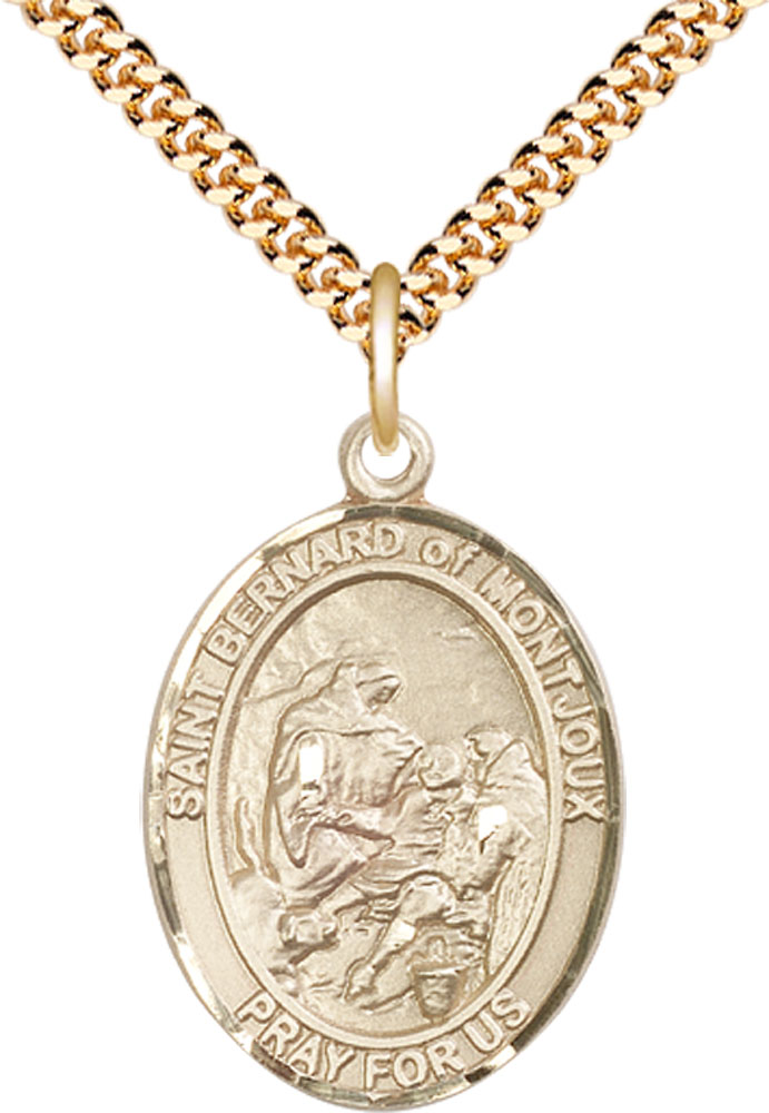 14kt Gold Filled Saint Bernard of Montjoux Pendant on a 24 inch Gold Plate Heavy Curb chain