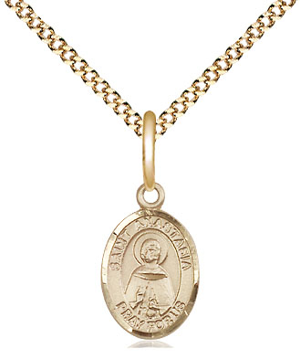 14kt Gold Filled Saint Anastasia Pendant on a 18 inch Gold Plate Light Curb chain