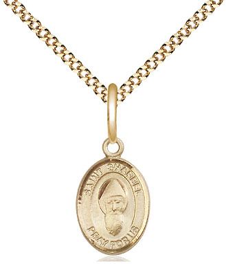 14kt Gold Filled Saint Sharbel Pendant on a 18 inch Gold Plate Light Curb chain