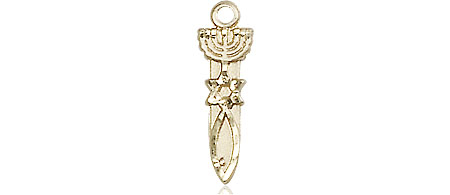 14kt Gold Menorah Star Fish Medal