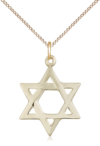 14kt Gold Filled Star of David Pendant on a 18 inch Gold Filled Light Curb chain