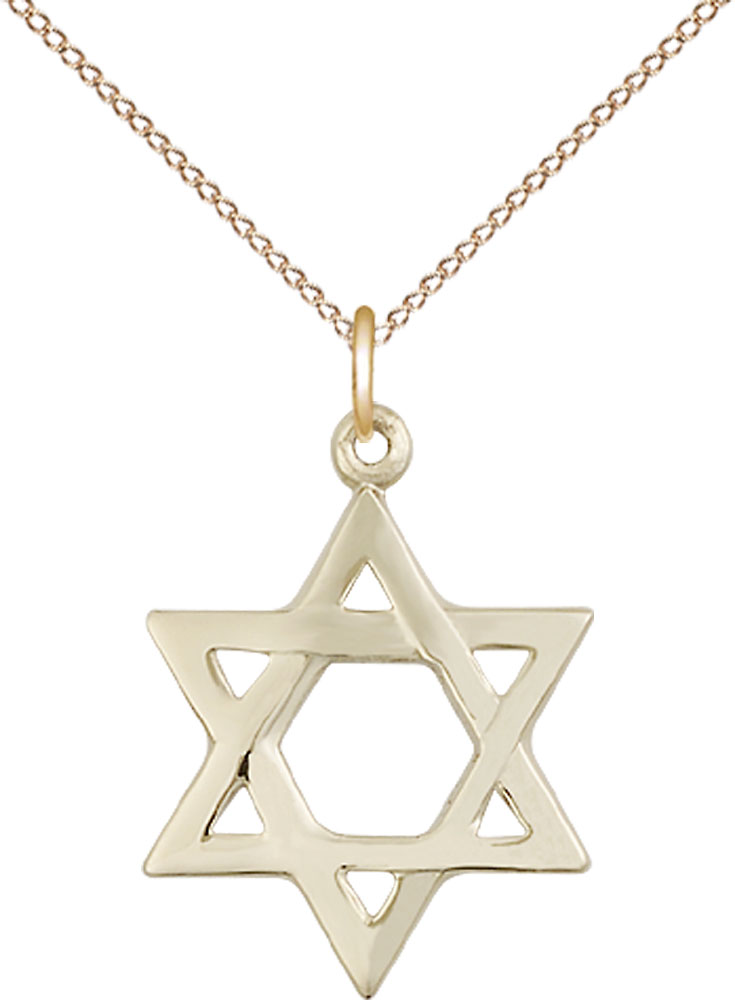 14kt Gold Filled Star of David Pendant on a 18 inch Gold Filled Light Curb chain