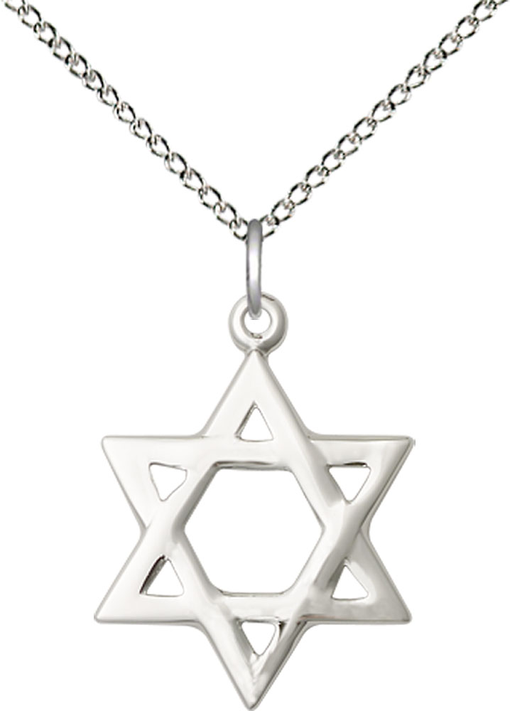 Sterling Silver Star of David Pendant on a 18 inch Sterling Silver Light Curb chain