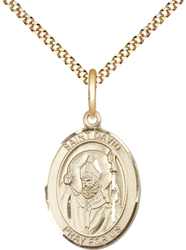 14kt Gold Filled Saint David of Wales Pendant on a 18 inch Gold Plate Light Curb chain