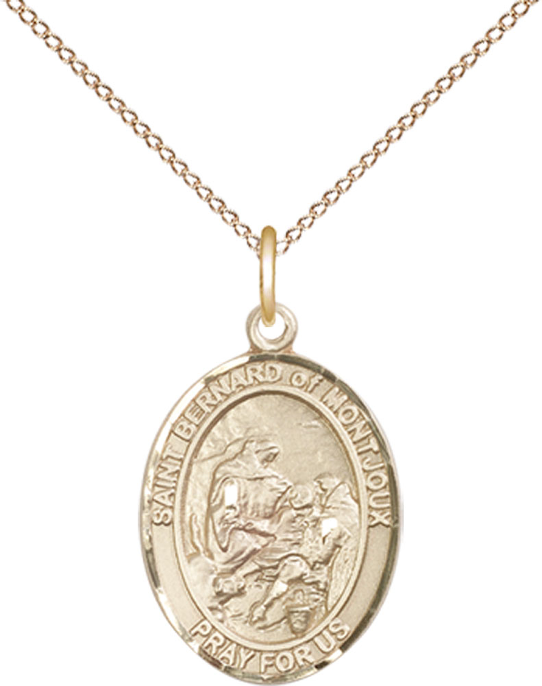 14kt Gold Filled Saint Bernard of Montjoux Pendant on a 18 inch Gold Filled Light Curb chain