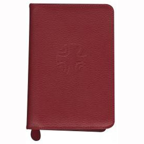 Liturgy Of The Hours Leather Zipper Case (Vol. Ii) (Red)