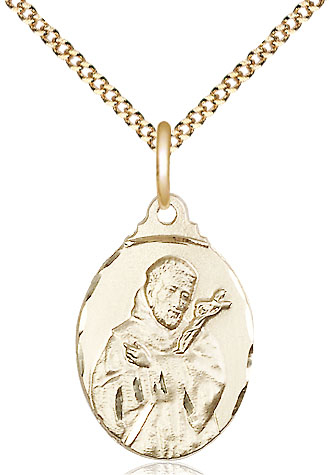 14kt Gold Filled Saint Francis Pendant on a 18 inch Gold Plate Light Curb chain