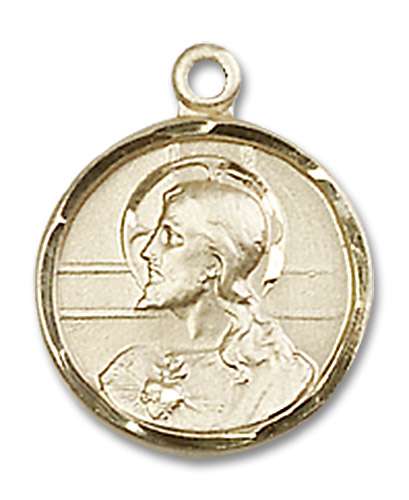 14kt Gold Filled Scapular Medal