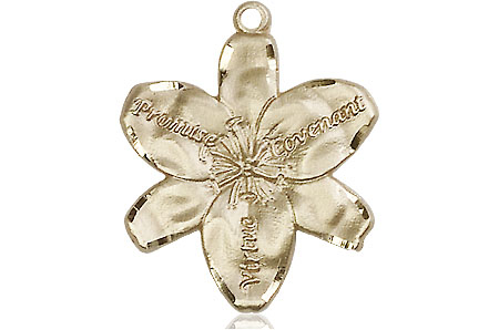 14kt Gold Filled Chastity Medal